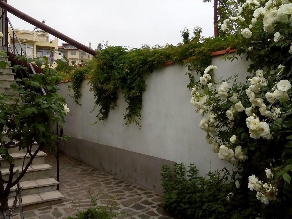 Guest House By The Captain Warna Zewnętrze zdjęcie